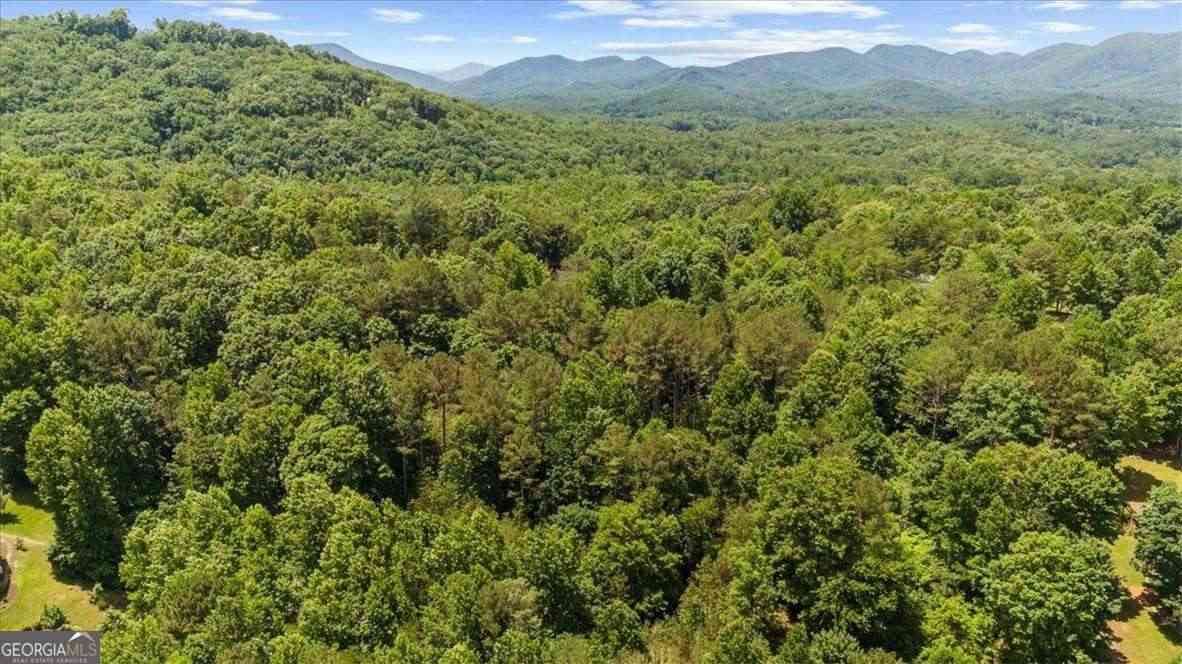 Vacant Land For Sale - LOT 60 Meadow Brooke Drive<br/> Young Harris, GA 30582