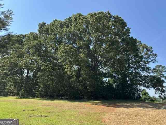Vacant Land For Sale - 3511 New High Shoals Road<br/> Oconee County, Bishop, GA 30621