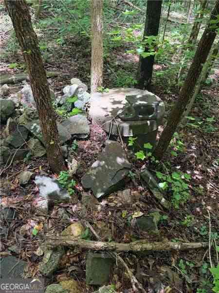 Vacant Land For Sale - 8915 Cedar Grove Road<br/> Fairburn, GA 30213