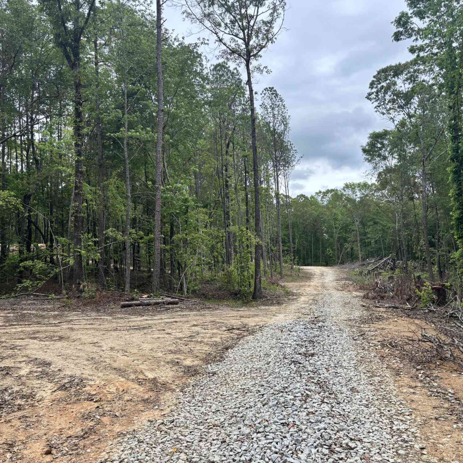 Vacant Land For Sale - TRACT 2 343 County Road 892<br/> Wedowee, AL 36278