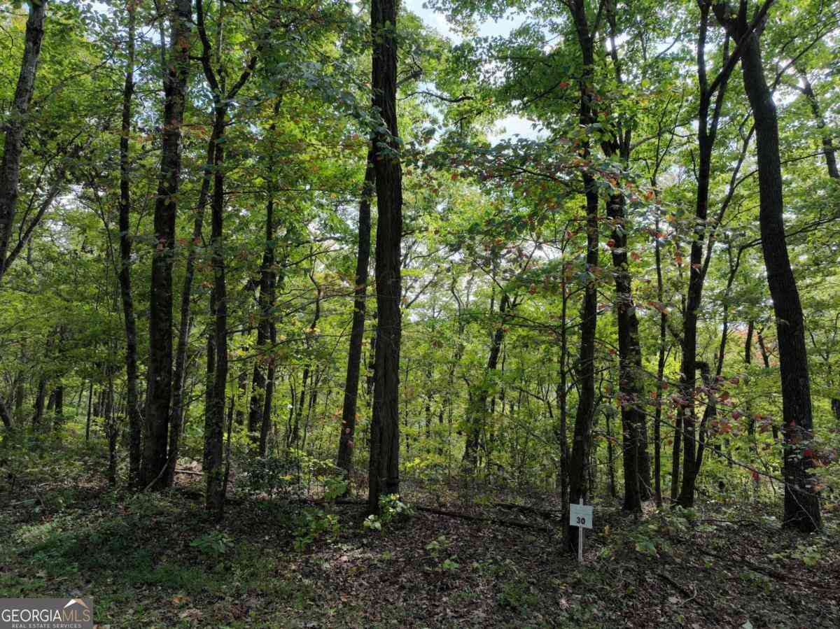 Vacant Land For Sale - 30 Andes Ridge<br/> Jasper, GA 30143