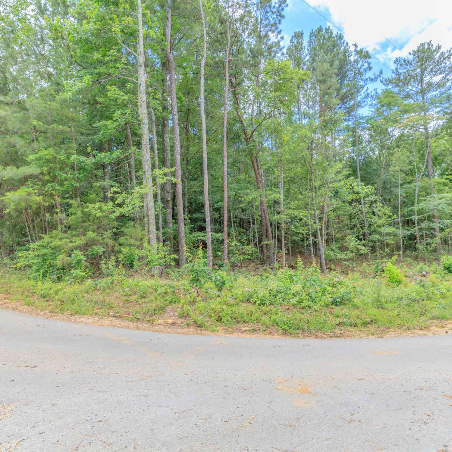 Vacant Land For Sale - Wallaceville Cemetery Road<br/> Chickamauga, GA 30700