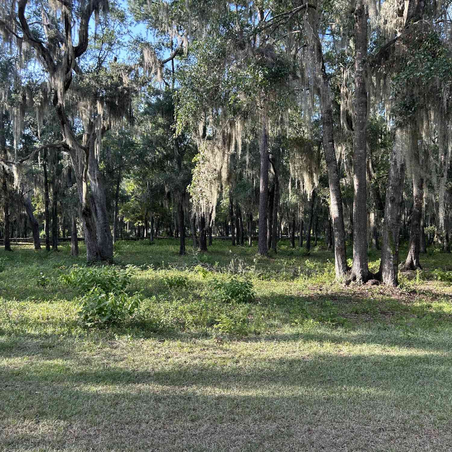 Vacant Land For Sale - Wood Stork Drive<br/> Darien, GA 31305
