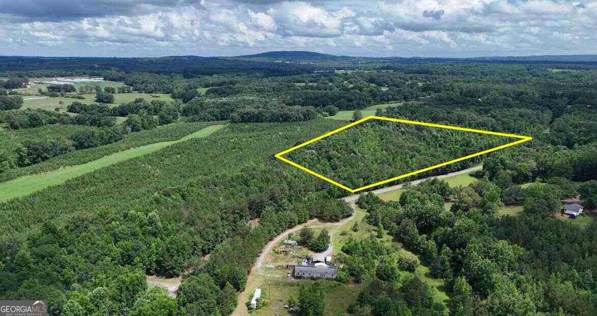 Vacant Land For Sale - Stateline Road<br/> Bowdon, GA 30108