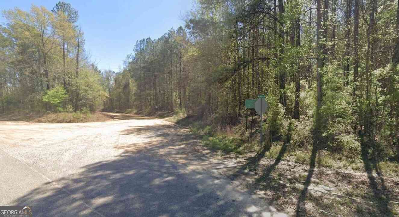 Vacant Land For Sale - Mulberry/moore Road<br/> Brantley, AL 36009