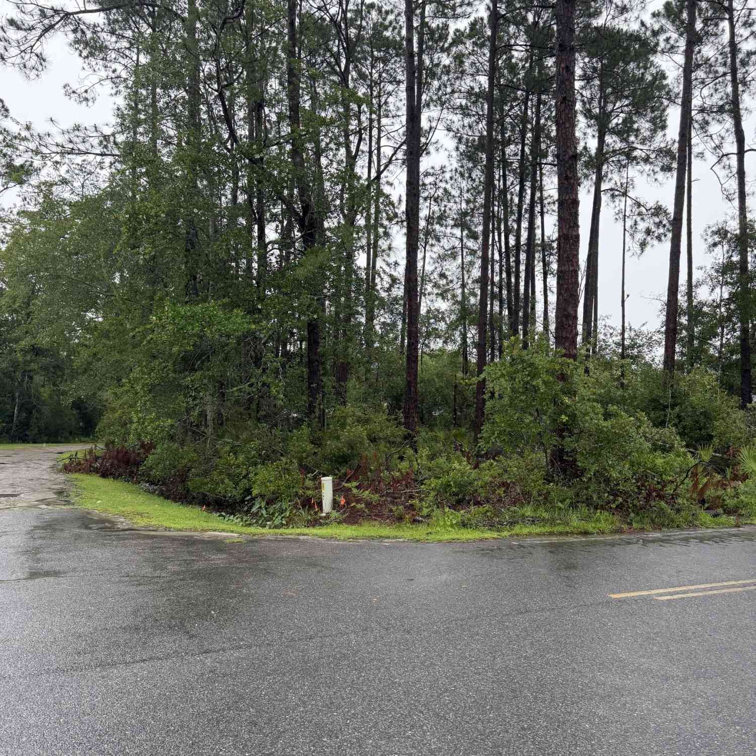 Vacant Land For Sale - .30 Gibson Street<br/> Nahunta, GA 31553