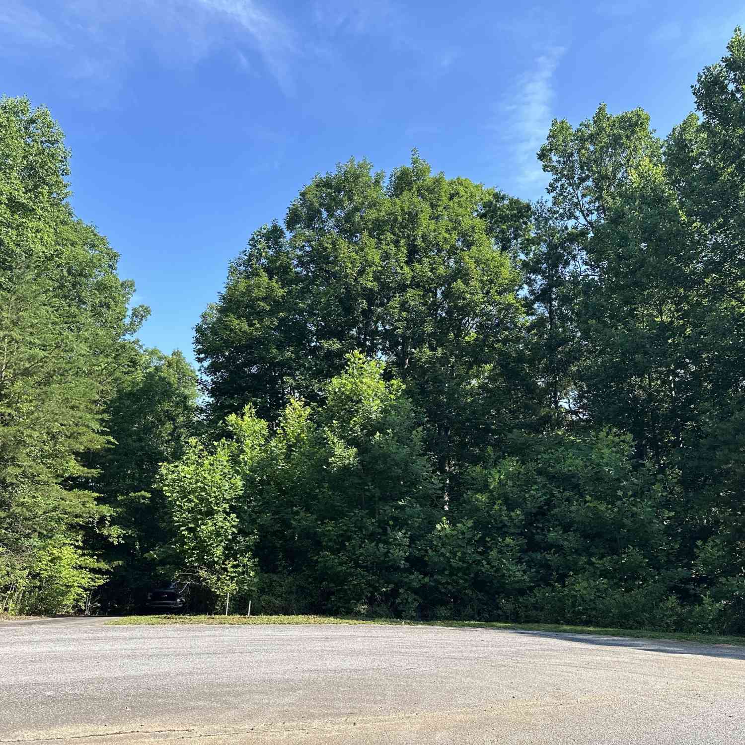 Vacant Land For Sale - LOT 678910 Clearview Drive<br/> Cleveland, GA 30528
