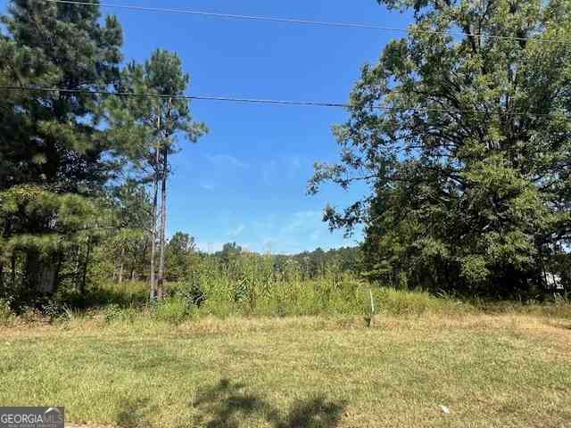 Vacant Land For Sale - County Farm Road<br/> Zebulon, GA 30295