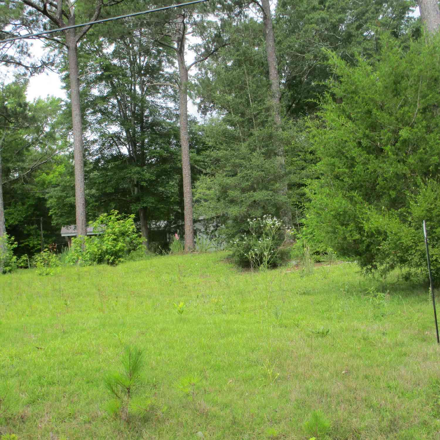 Vacant Land For Sale - 335 Amelia Road<br/> Griffin, GA 30223