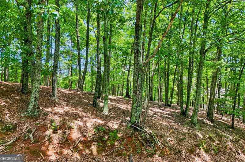 Vacant Land For Sale - 208 Columbine Drive<br/> Big Canoe, GA 30143