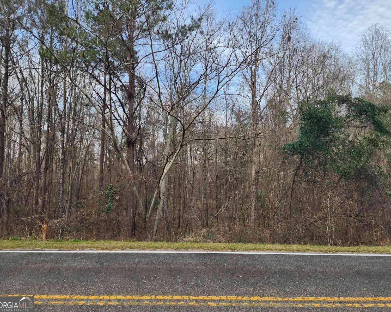 Vacant Land For Sale - U S Highway 80<br/> Knoxville, GA 31050