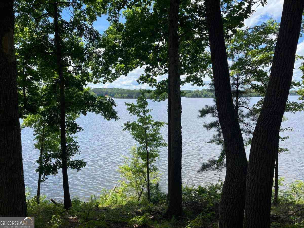 Vacant Land For Sale - 1603 Pullman Lane<br/> Greensboro, GA 30642