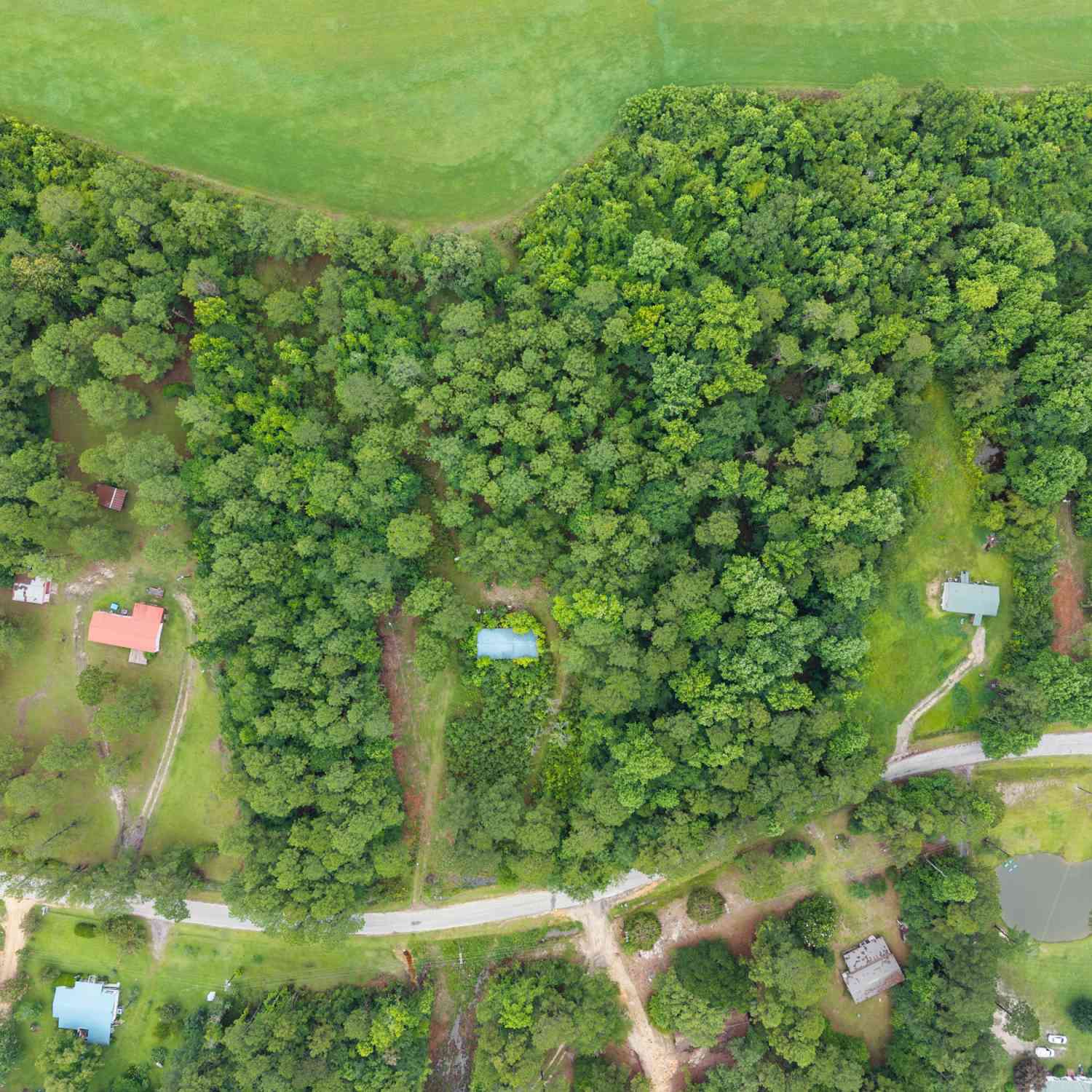 Vacant Land For Sale - 243 Buck Road<br/> Sylvania, GA 30467