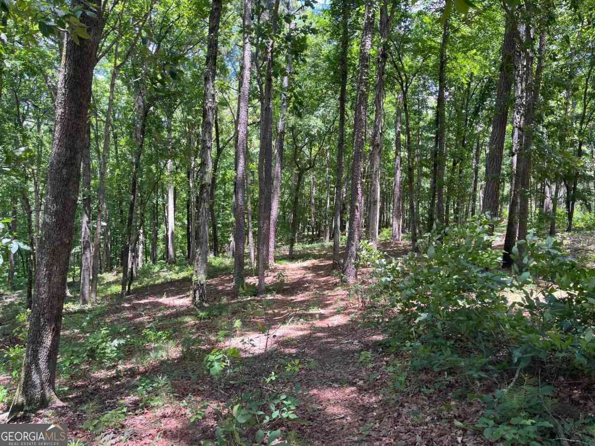 Vacant Land For Sale - 1577 Pullman Lane<br/> Greensboro, GA 30642