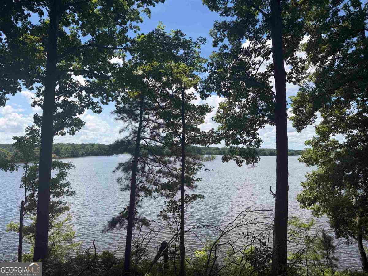 Vacant Land For Sale - 1595 Pullman Lane<br/> Greensboro, GA 30642