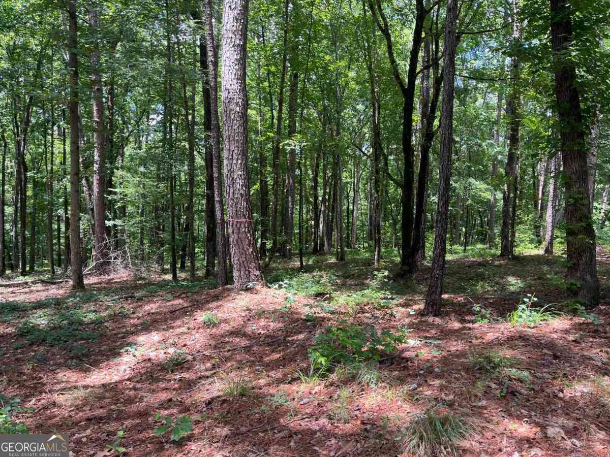Vacant Land For Sale - LOTS 1 & 2 Pullman Lane<br/> Greensboro, GA 30642