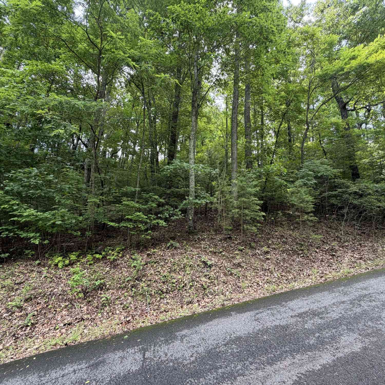 Vacant Land For Sale - LOT 7 Mill Ridge Rd<br/> Hiawassee, GA 30546