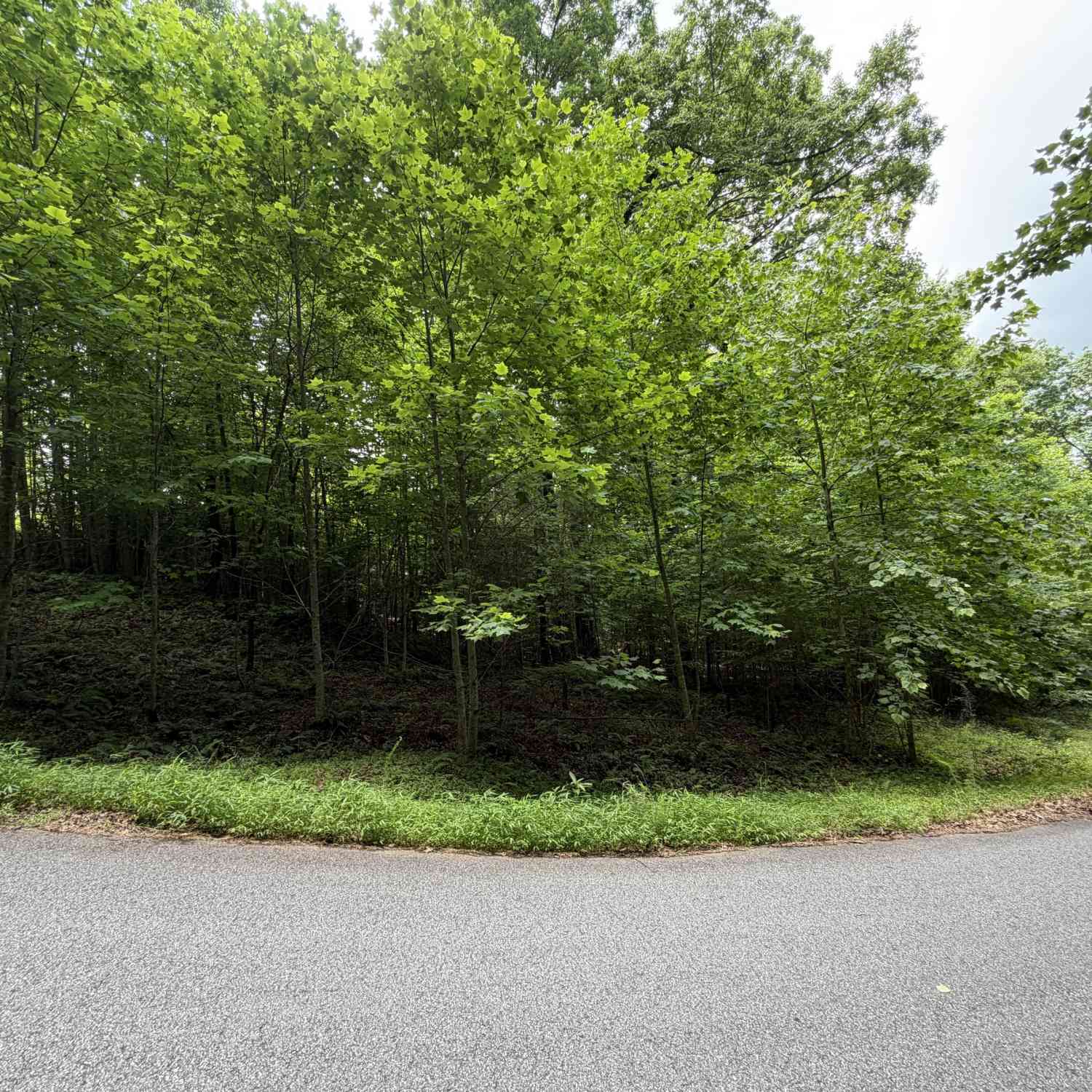 Vacant Land For Sale - LOT 19 Mill Ridge Rd<br/> Hiawassee, GA 30546