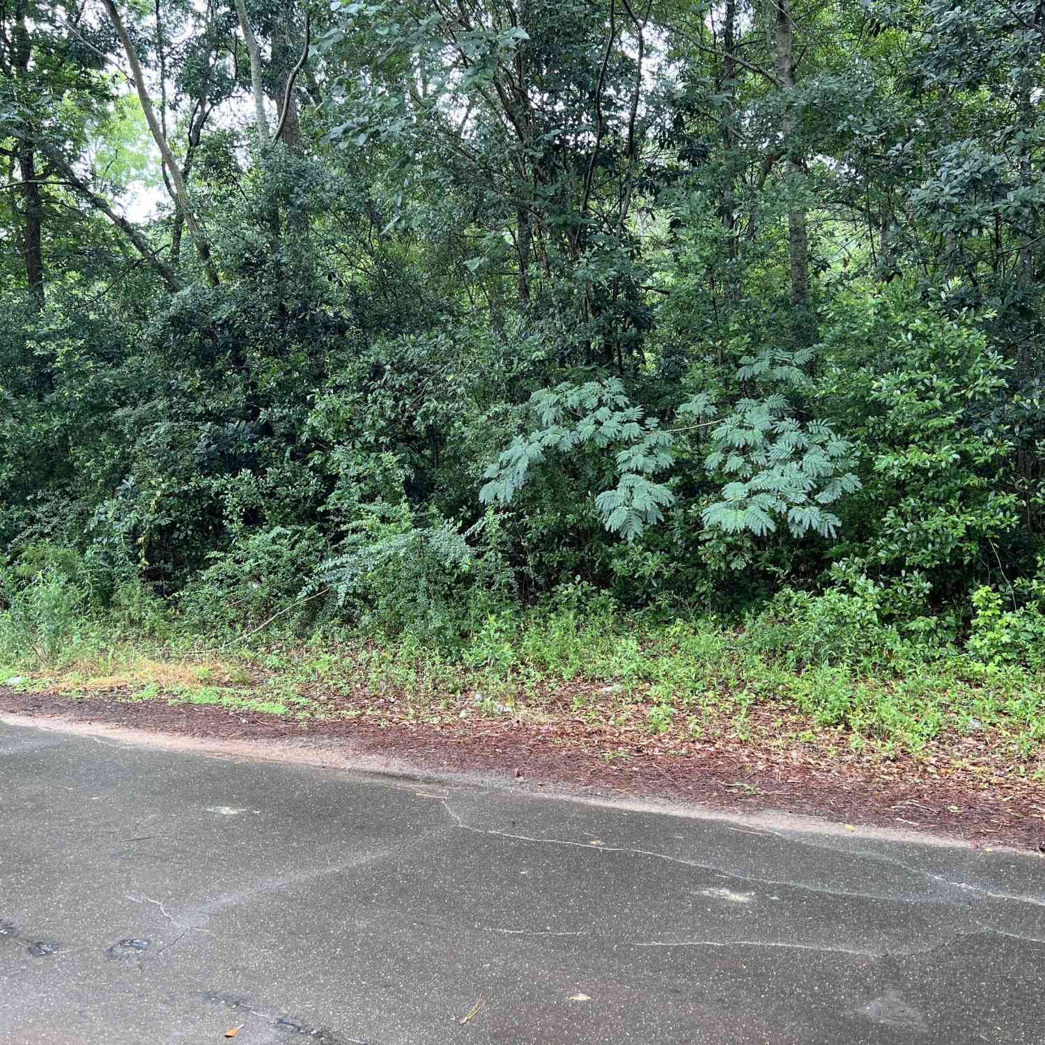 Vacant Land For Sale - Harmony<br/> Stewart County, Richland, GA 31825