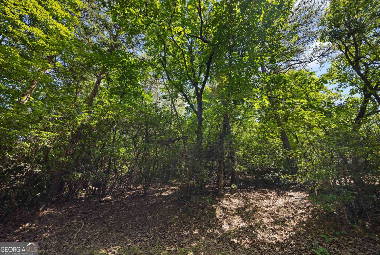 Vacant Land For Sale - 196 Cinnamon Fern Lane<br/> Jasper, GA 30143