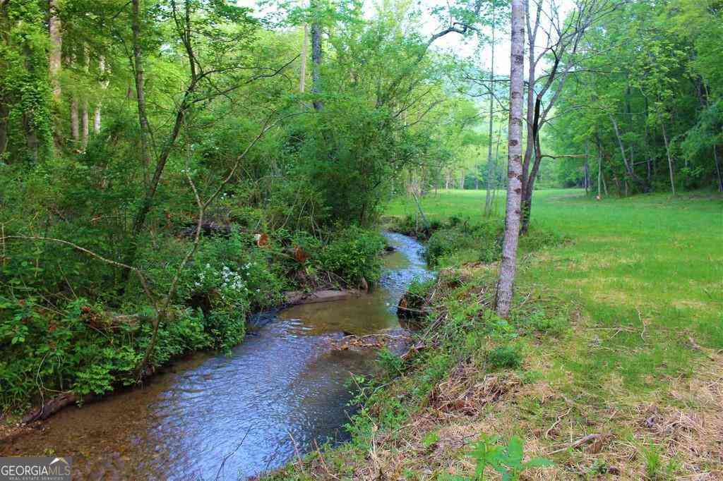 Vacant Land For Sale - Highway 246<br/> Dillard, GA 30537