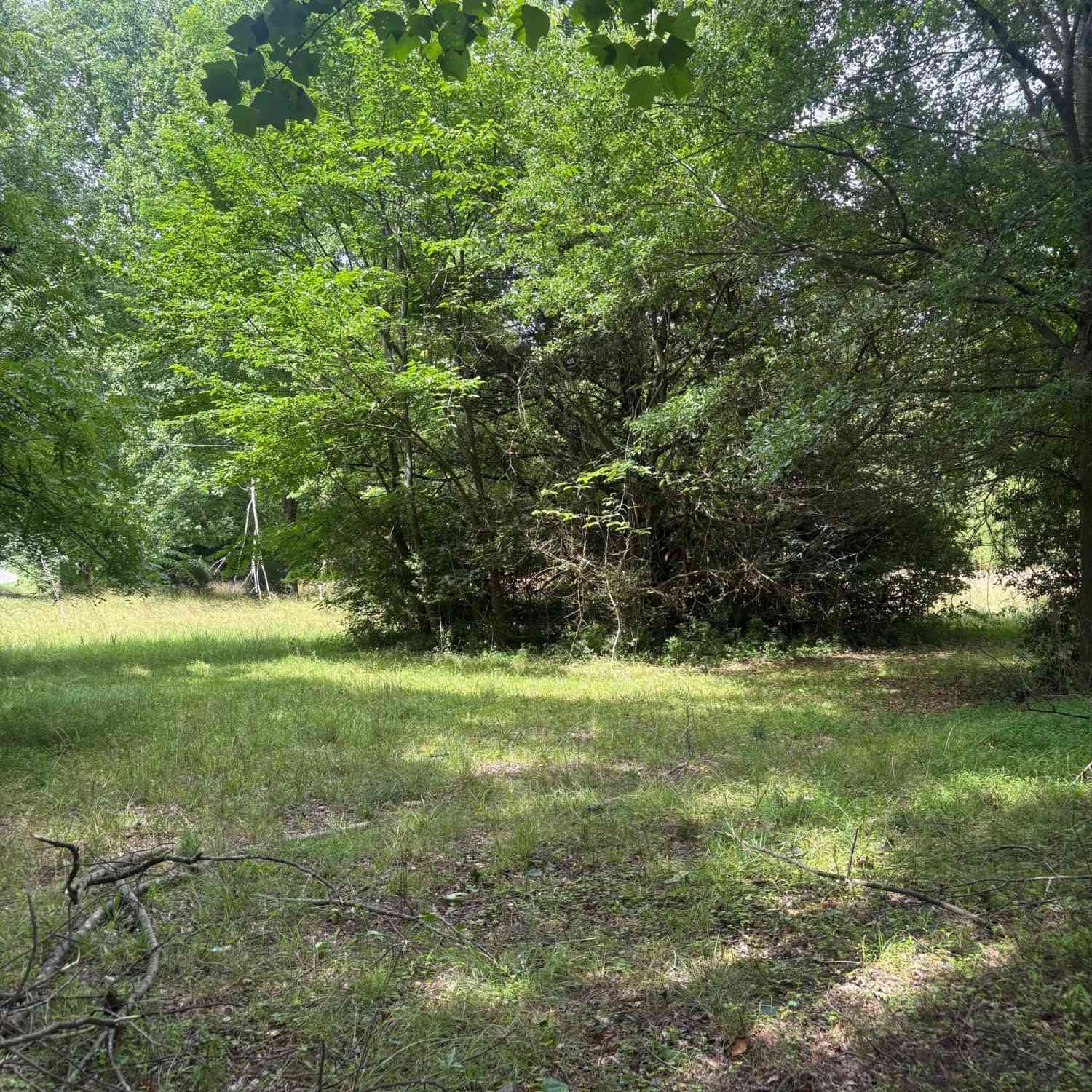 Vacant Land For Sale - M L King Jr Drive<br/> Jefferson, GA 30549