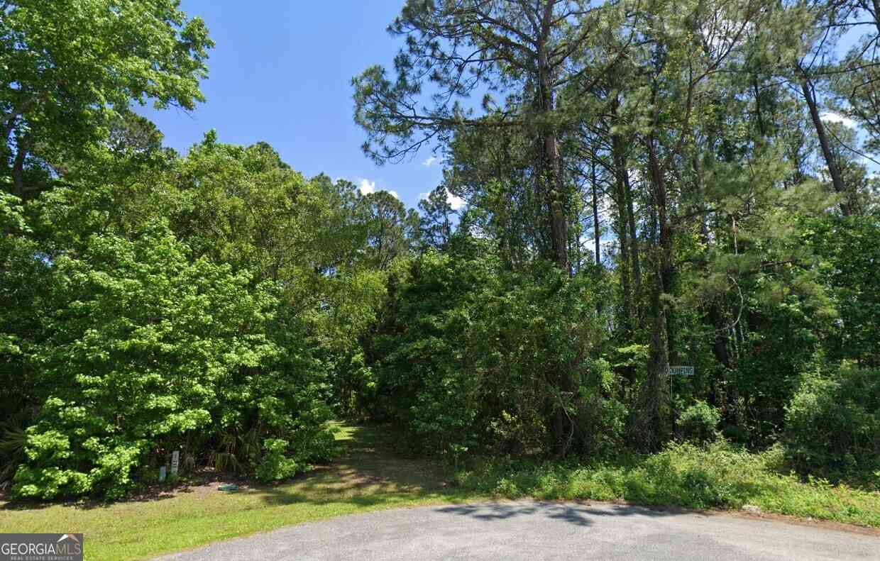 Vacant Land For Sale - 185 Richards Ct<br/> Saint Marys, GA 31558