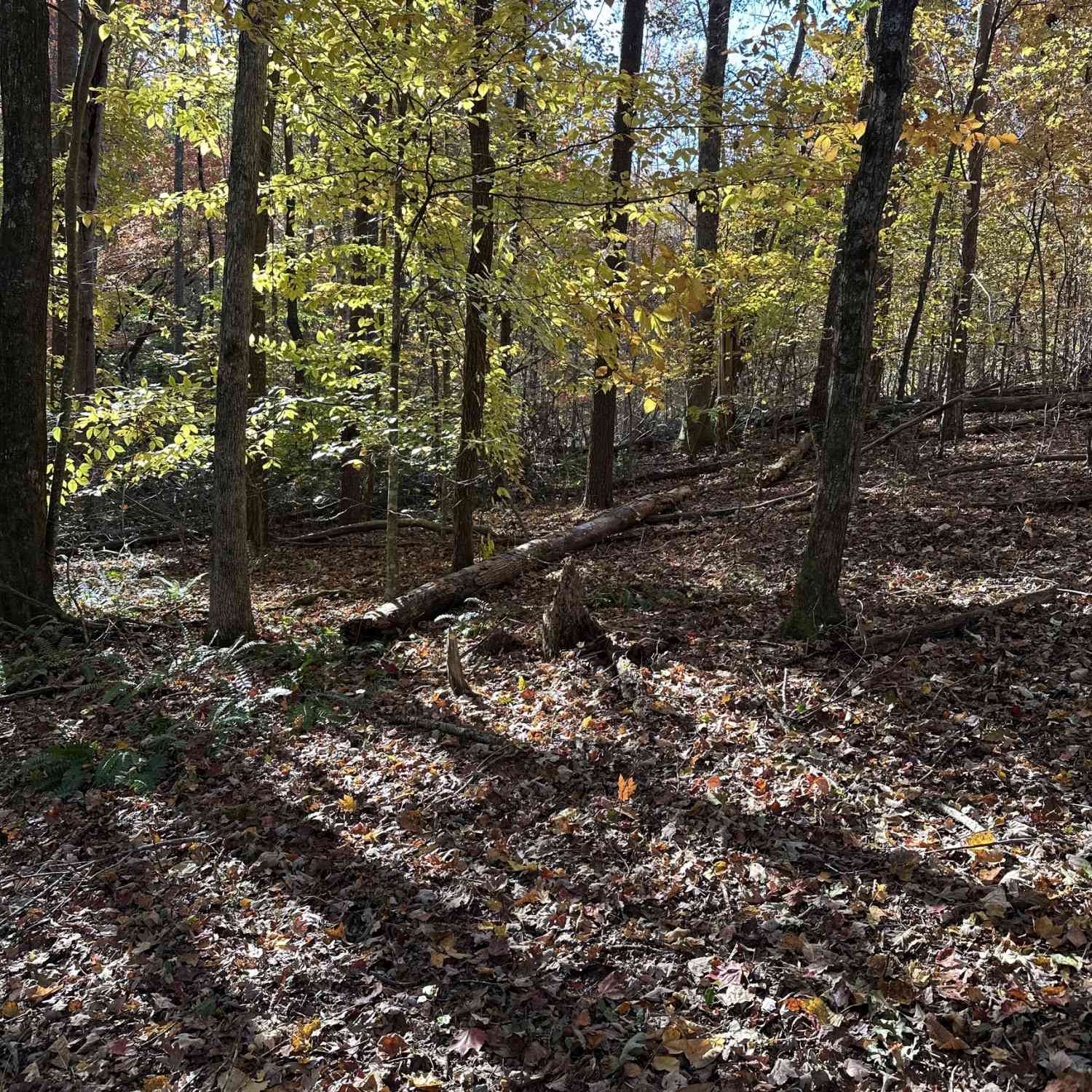 Vacant Land For Sale - 39 Planters Creek Drive<br/> Banks County, Baldwin, GA 30511