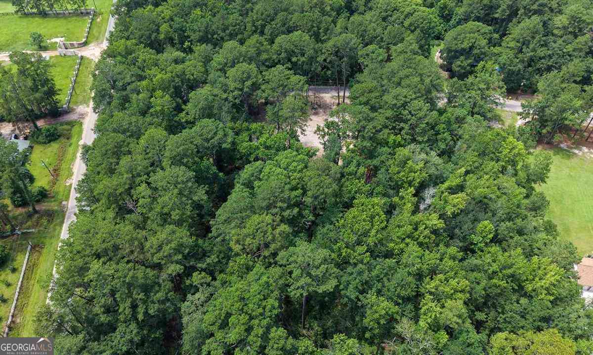 Vacant Land For Sale - 293 Anza Lane<br/> Rincon, GA 31326