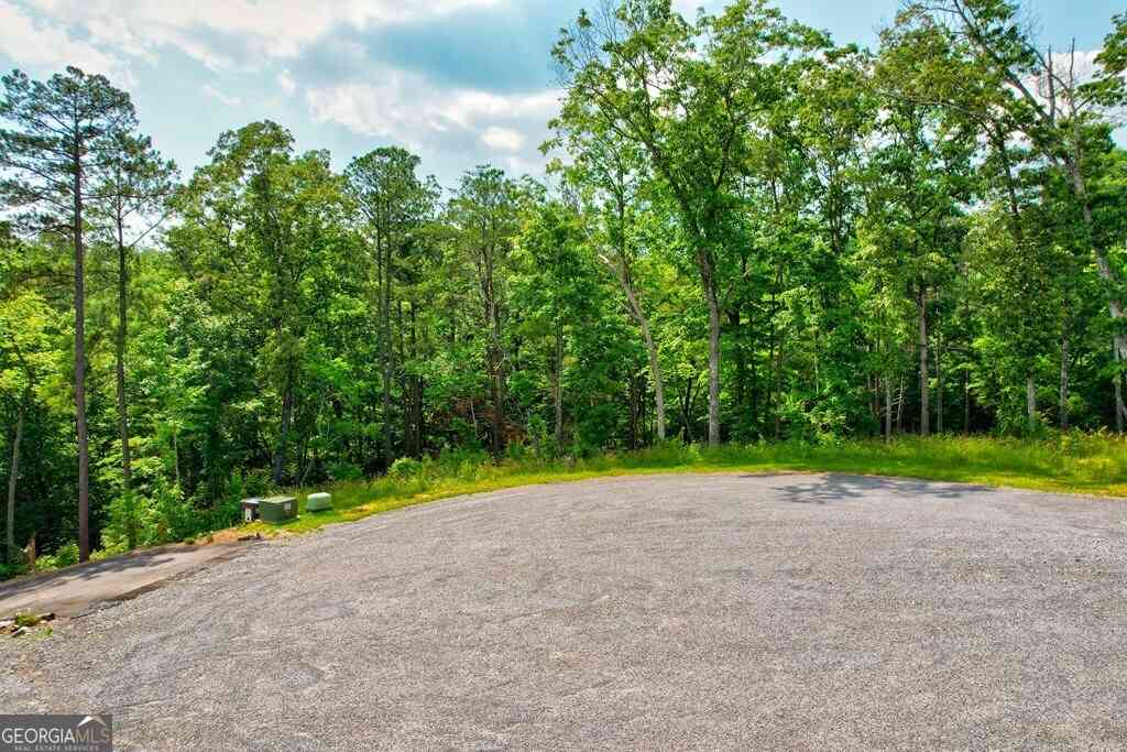 Vacant Land For Sale - LOT 16 Lake Top Lane<br/> Ellijay, GA 30540