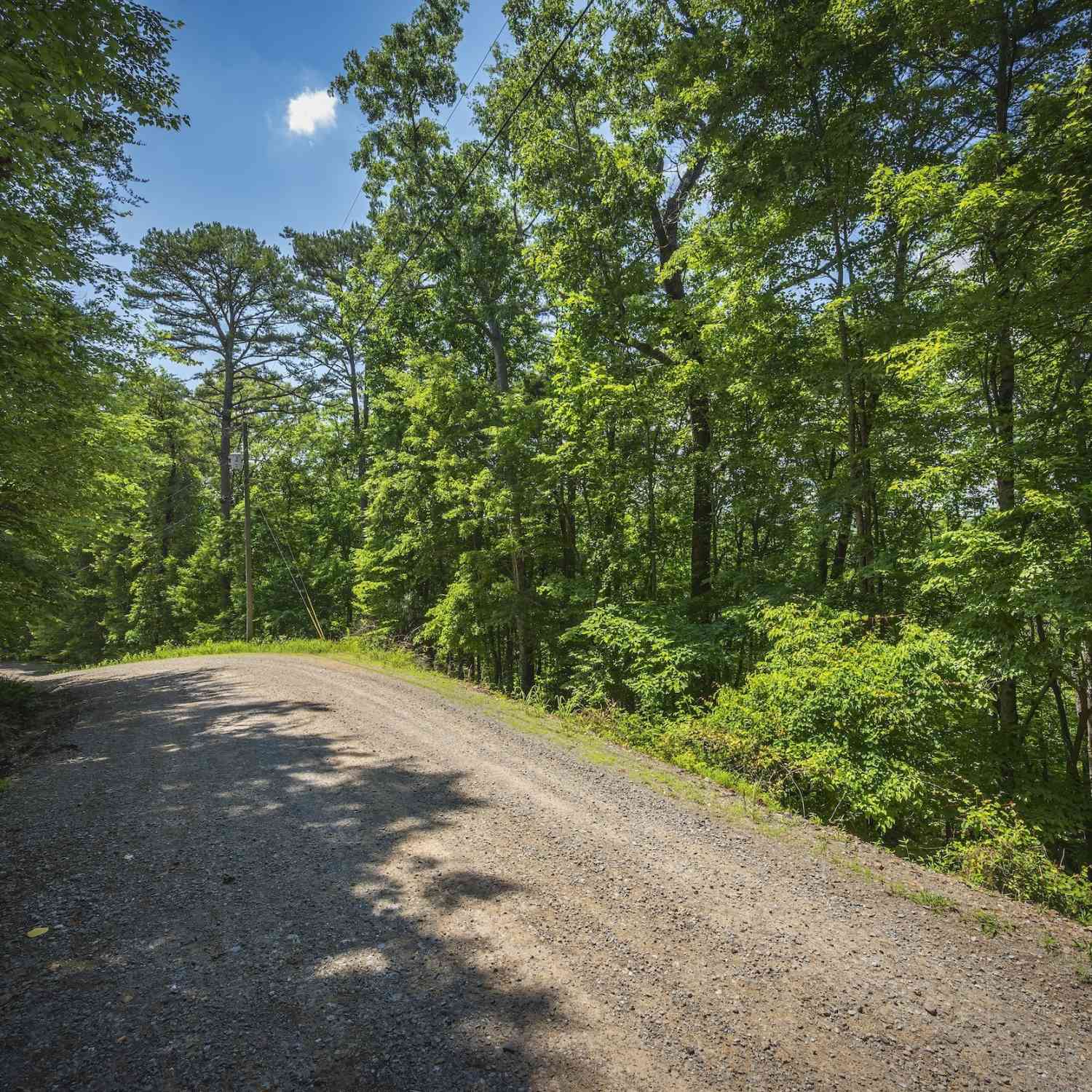 Vacant Land For Sale - 3.54AC Myna Drive<br/> Ellijay, GA 30540