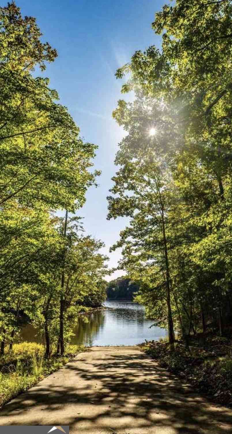 Vacant Land For Sale - County Rd 3294<br/> Randolph County, Wedowee, AL 36278