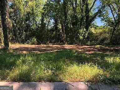 Vacant Land For Sale - 145 Plum Street<br/> Haddock, GA 31033