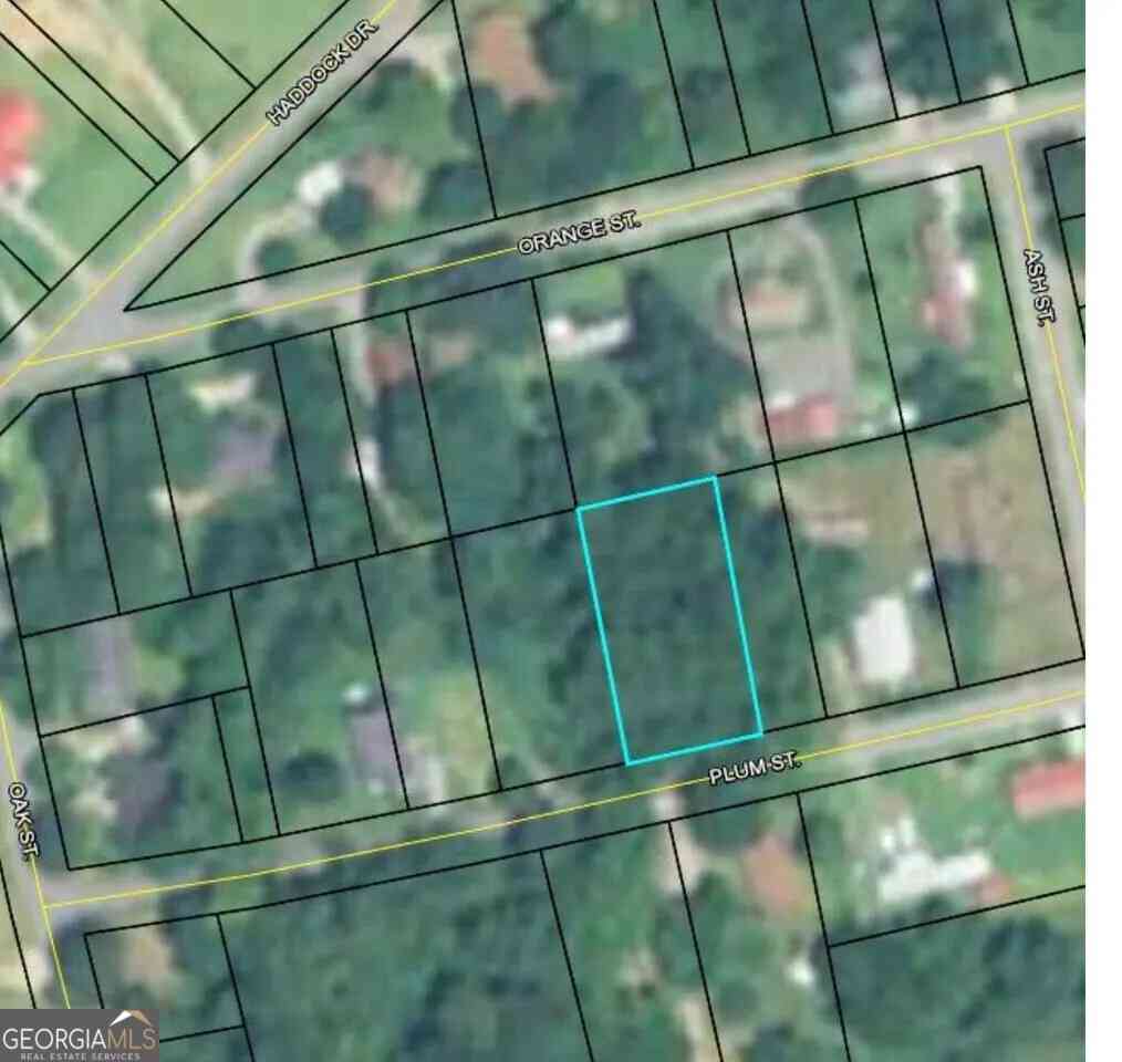 Vacant Land For Sale - 147 Plum Street<br/> Haddock, GA 31033
