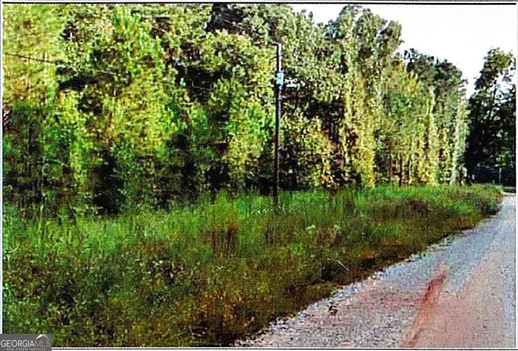 Vacant Land For Sale - Felton Mcmichael Rd & Hayes - Landlot 090 Road<br/> Monticello, GA 31064