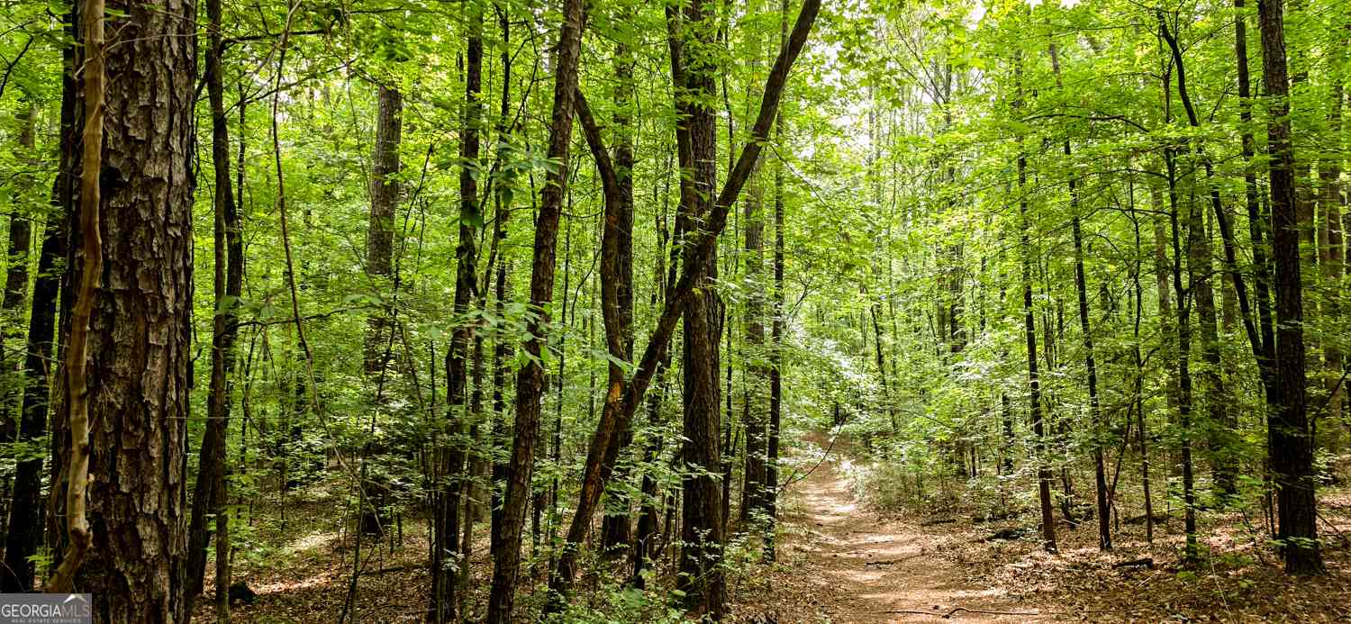 Vacant Land For Sale - NORTH OF 428 Padgett Rd<br/> Senoia, GA 30276