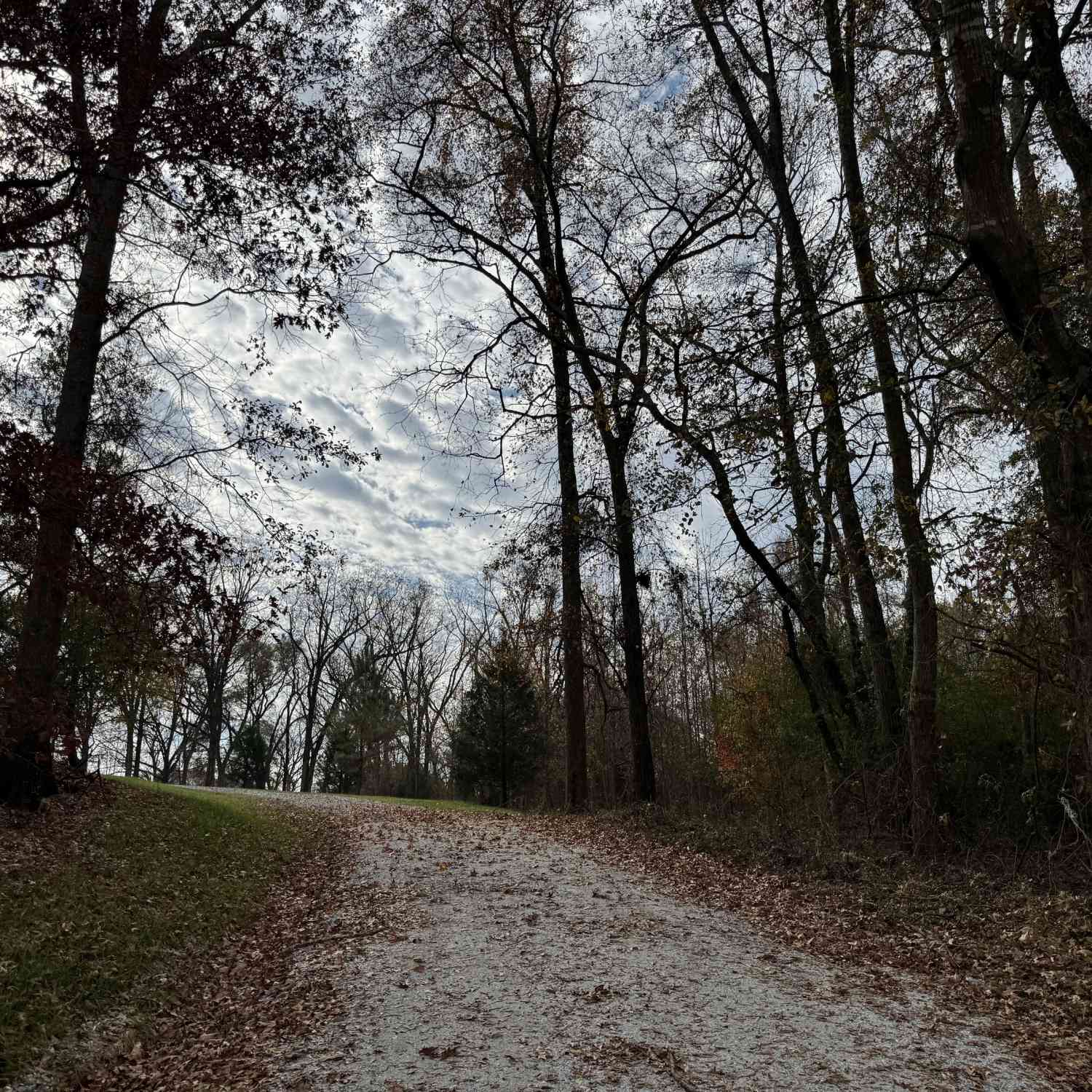 Vacant Land For Sale - 3439 TRACT 1 Providence Church Road<br/> Hartwell, GA 30643