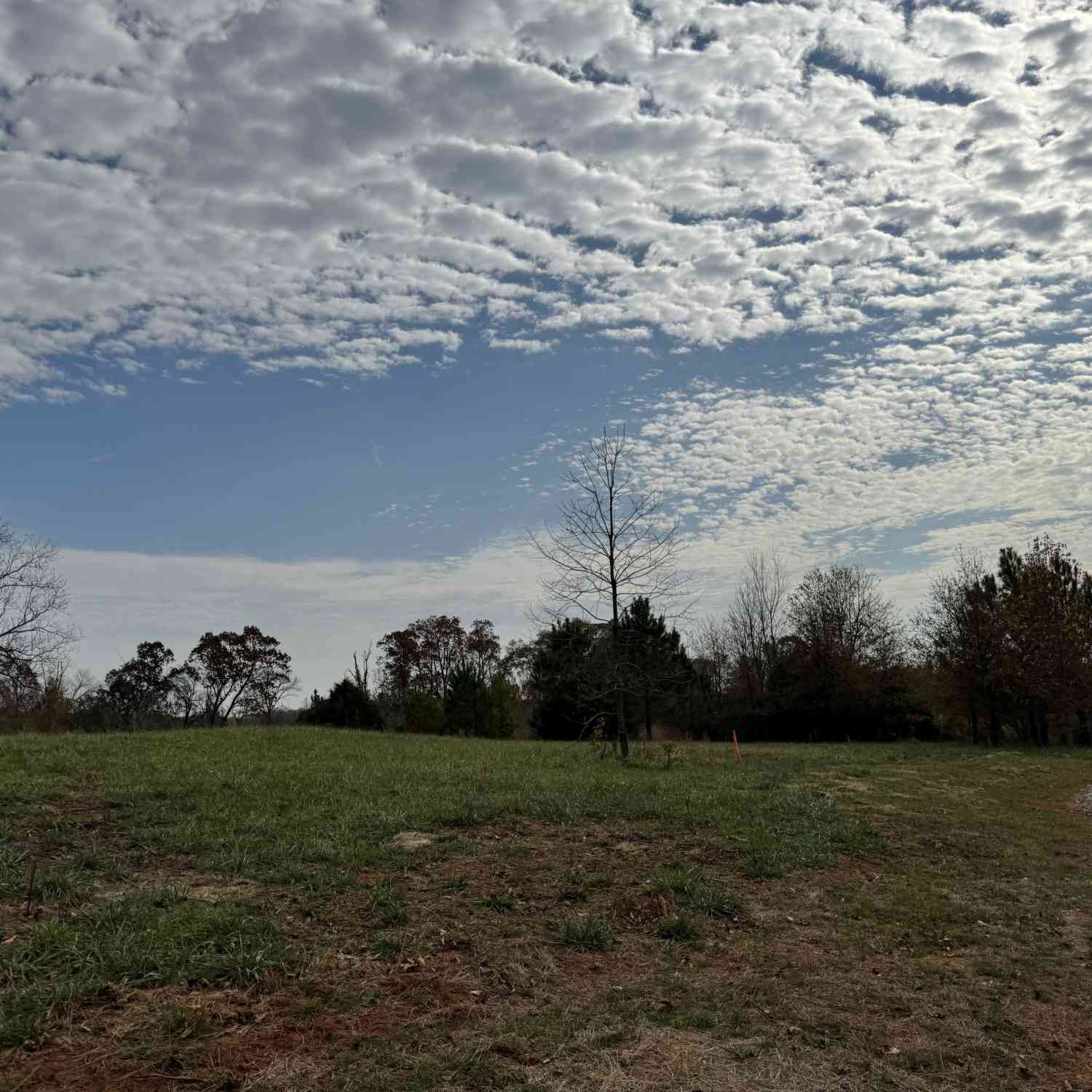 Vacant Land For Sale - 3439 TRACT 4 Providence Church Road<br/> Hartwell, GA 30643