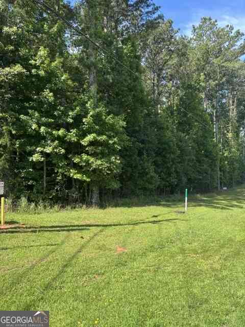 Vacant Land For Sale - 803 Squirrel Hollow Road<br/> Monroe, GA 30655