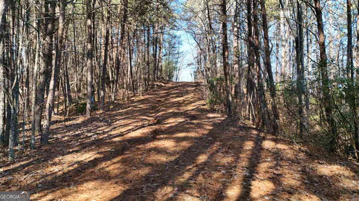 Vacant Land For Sale - LOT 1 Gold Valley Road<br/> Sautee Nacoochee, GA 30571