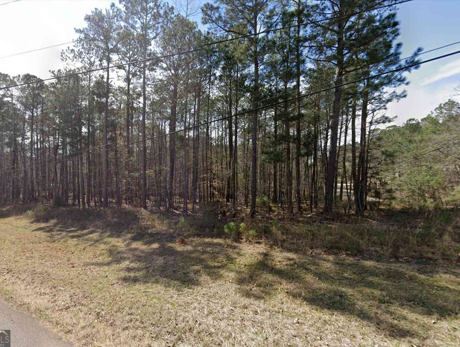Vacant Land For Sale - 35 S Chattahooc Ee Drive<br/> Troup County, Hogansville, GA 30230