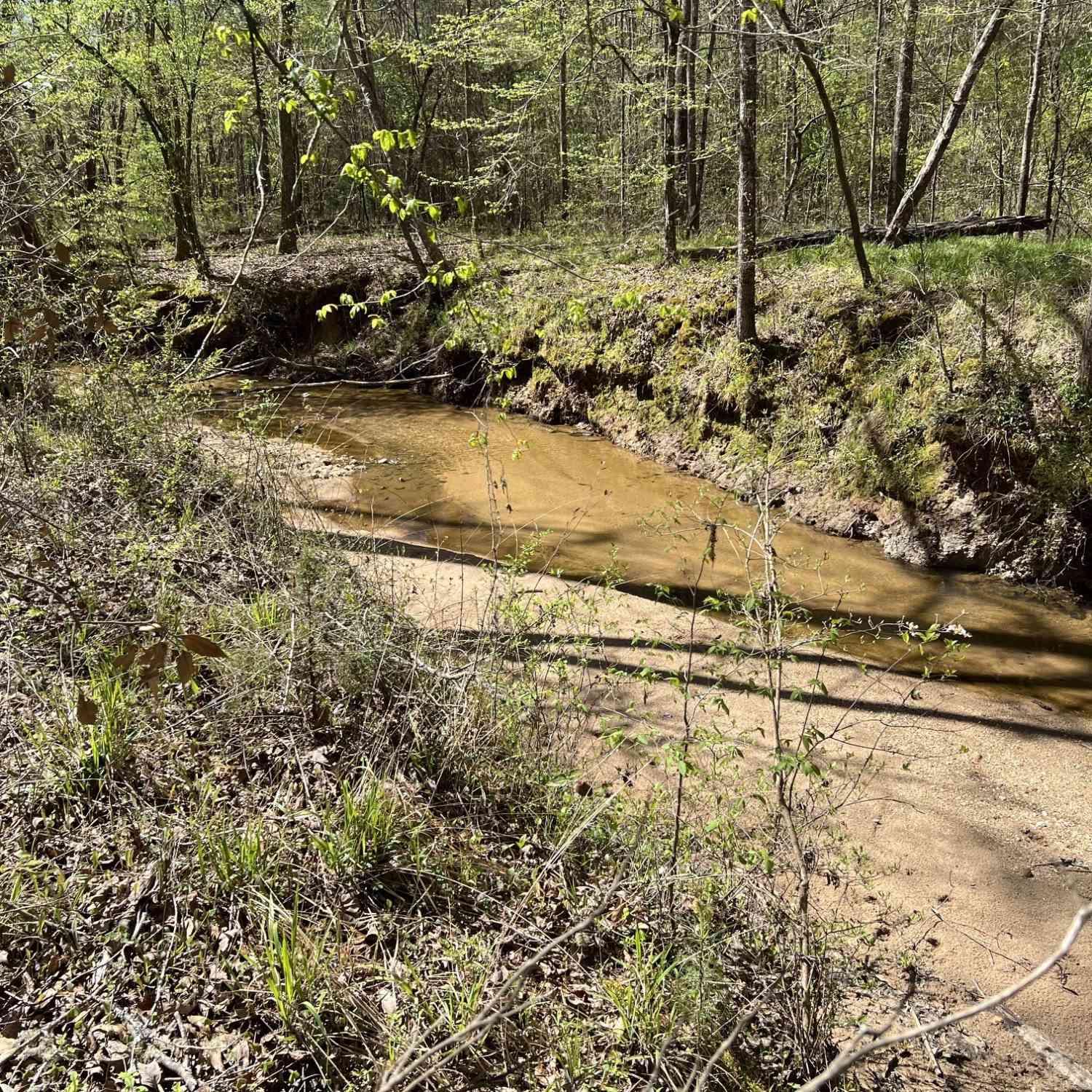 Vacant Land For Sale - 1073 Blount Road<br/> Jackson, GA 30233