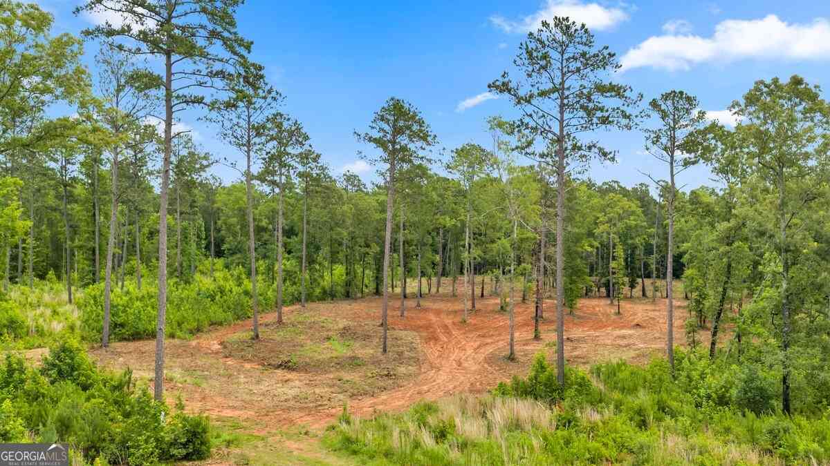 Vacant Land For Sale - 41 Pine Meadow Trail<br/> Forsyth, GA 31029
