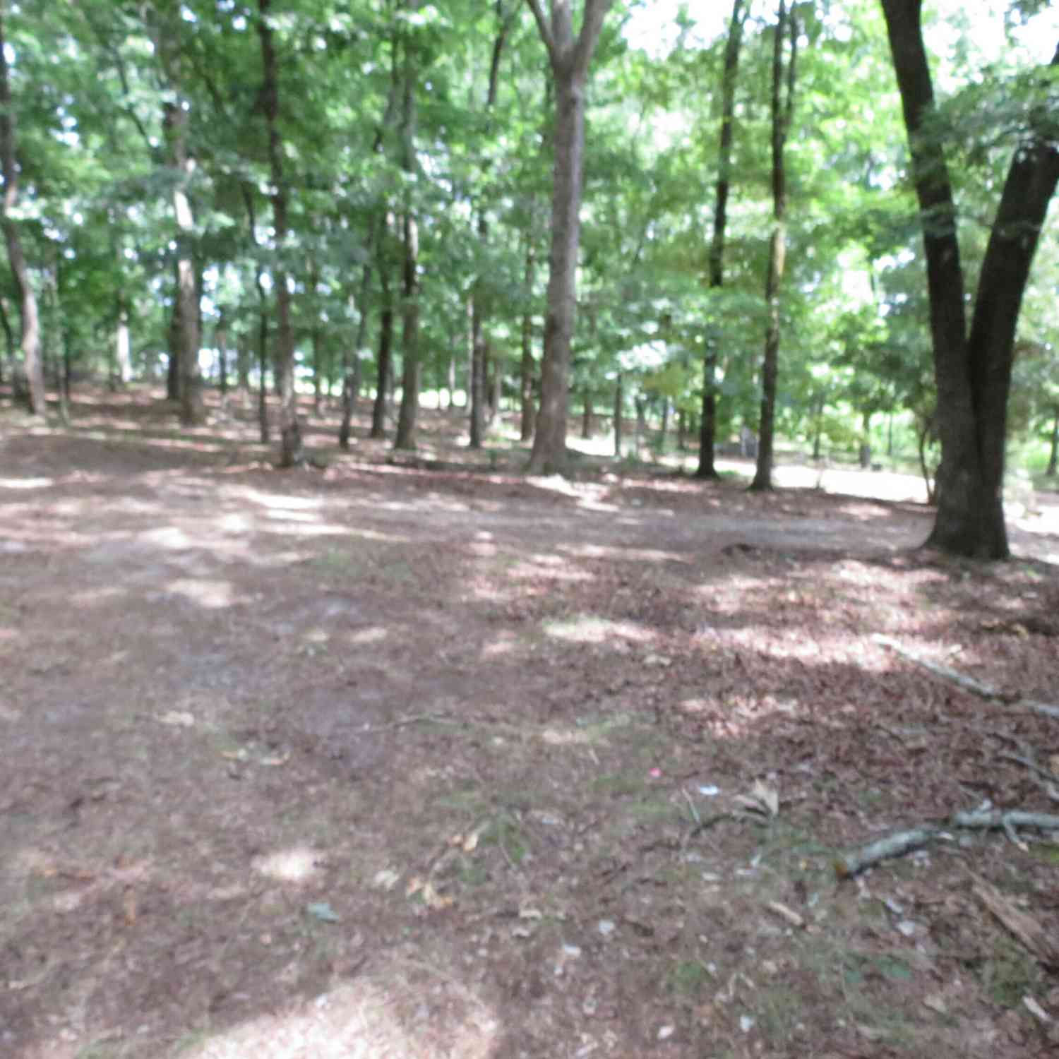 Vacant Land For Sale - 343 Shadow Mtn Lane<br/> White County, Cleveland, GA 30528