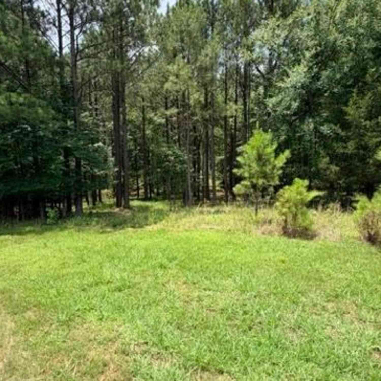 Vacant Land For Sale - 1476 Rock Point Cove<br/> Lincoln County, Tignall, GA 30668