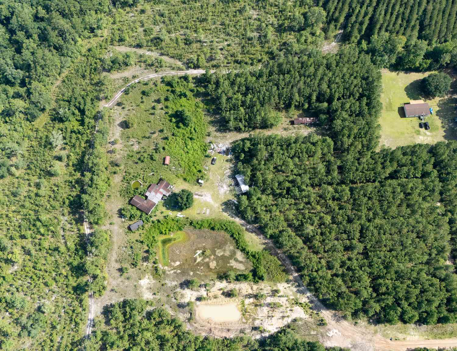 Vacant Land For Sale - 424 SE Hillman Drive<br/> Long County, Ludowici, GA 31316
