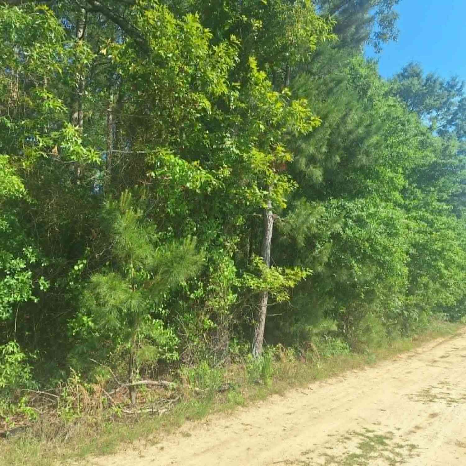 Vacant Land For Sale - 4485 Langston Drive<br/> Millen, GA 30442