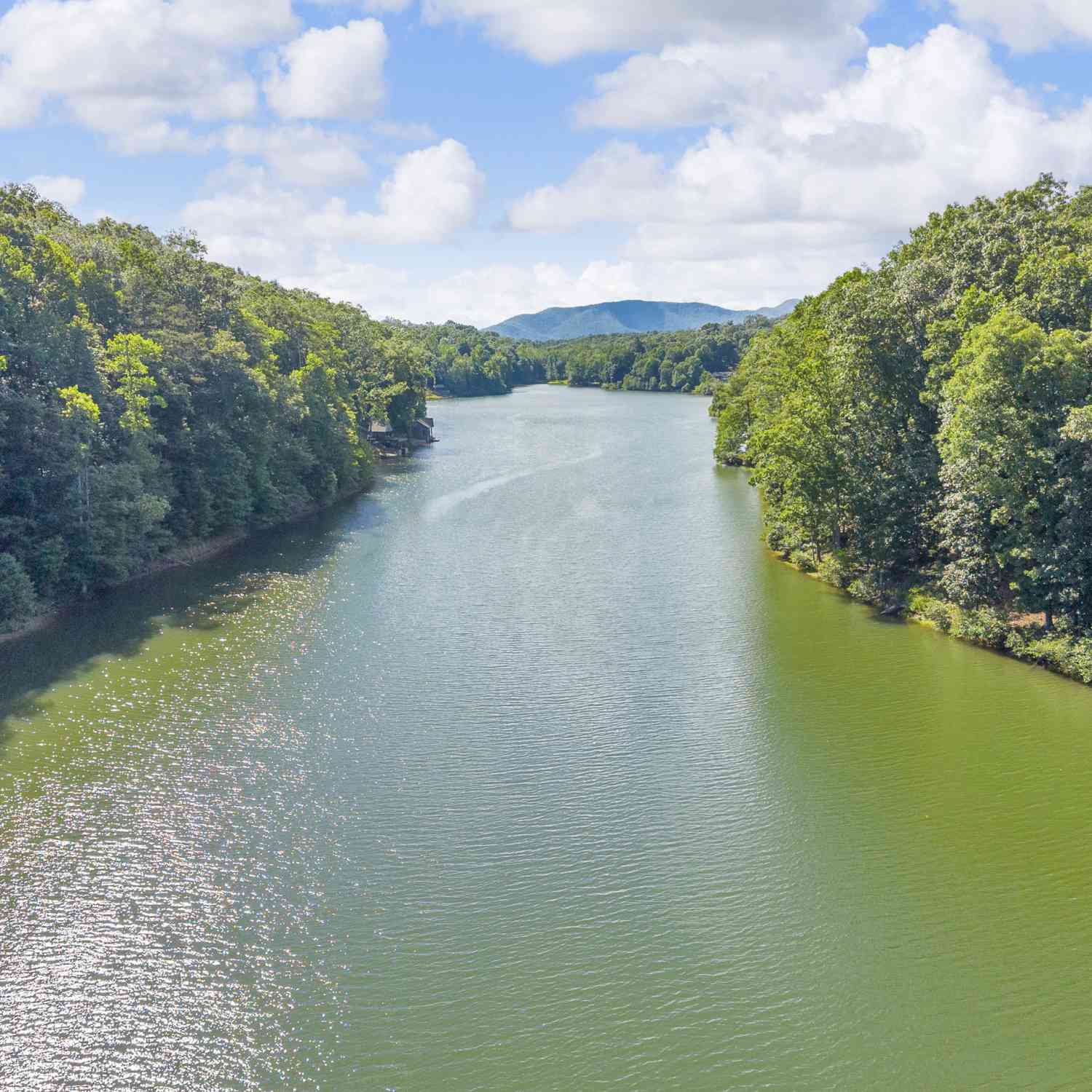 Vacant Land For Sale - Lake Watch Pt<br/> White County, Cleveland, GA 30528