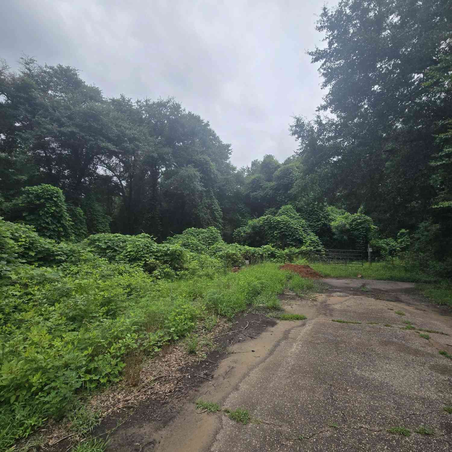 Vacant Land For Sale - 317 Merry Way<br/> Perry, GA 31069