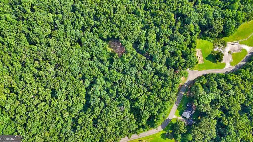 Vacant Land For Sale - 173 Hogan Pond Lane<br/> Ball Ground, GA 30107